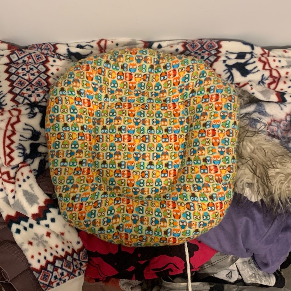 Guinea Pig Bed